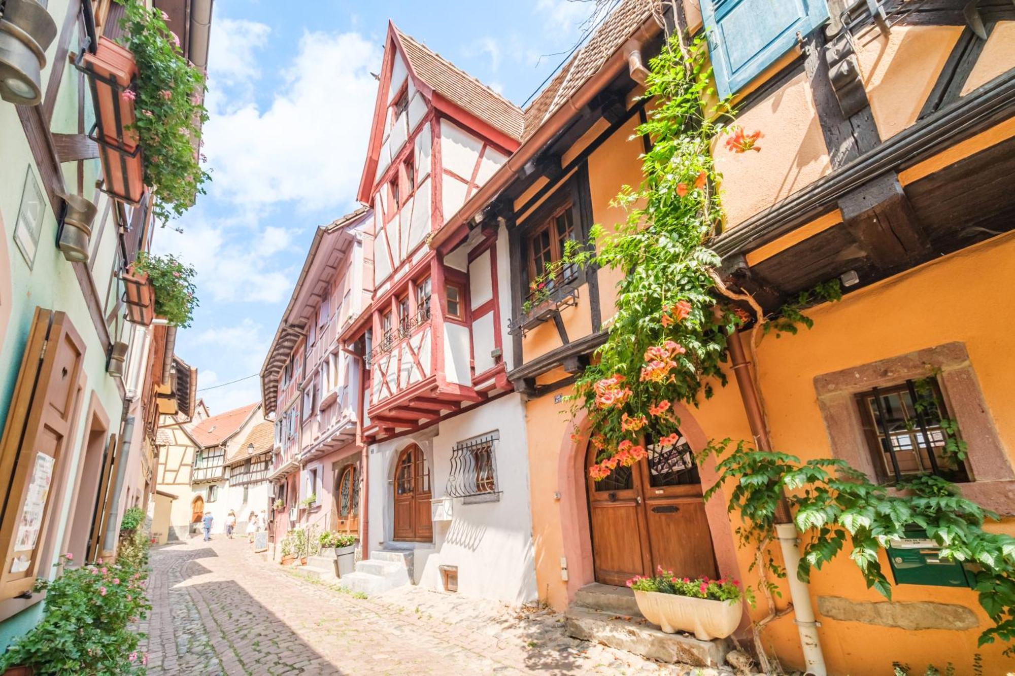 L Oriel Du Rempart Nord Villa Eguisheim Ngoại thất bức ảnh